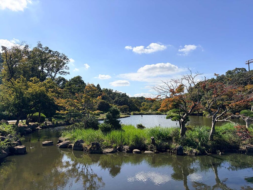 iPhone17試し撮り