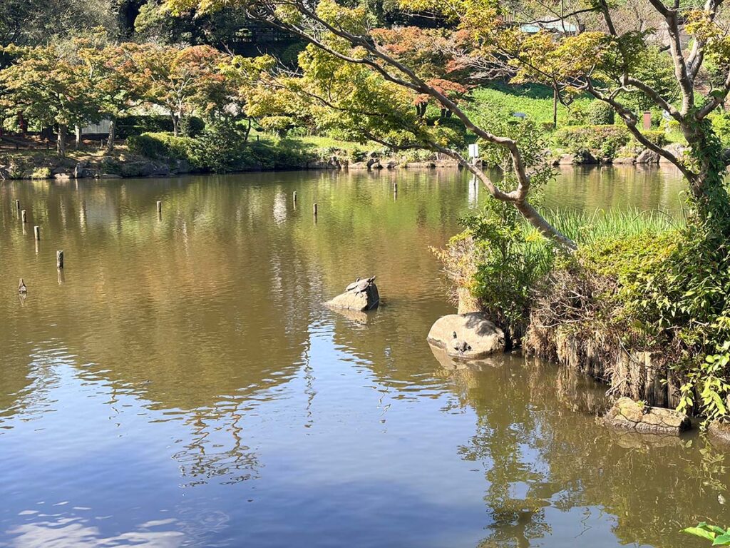 iPhone17試し撮り